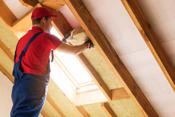 Types of Insulation We Offer in Pocahontas, IA